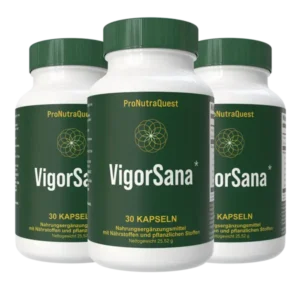 VigorSana Kapseln für die Potenz